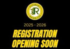 WEBSITE - POSTS
